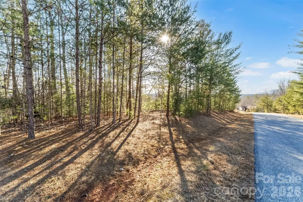 961 High Trail Drive #35-11 Nebo, NC 28761