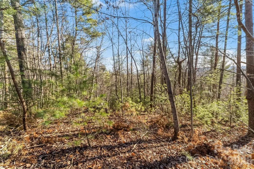 961 High Trail Drive #35-11 Nebo, NC 28761