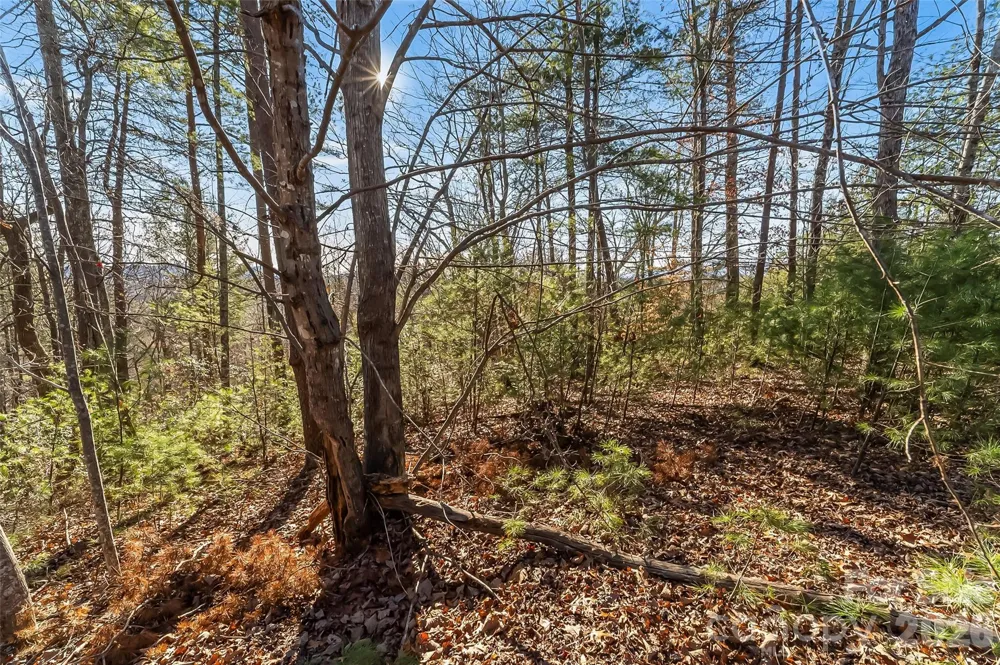 961 High Trail Drive #35-11 Nebo, NC 28761