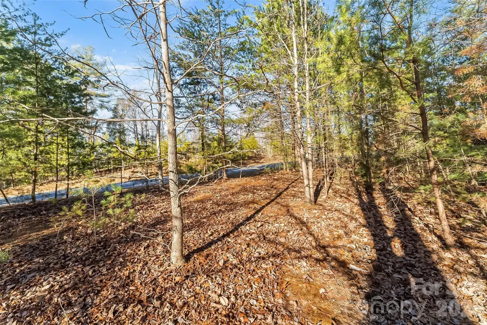 961 High Trail Drive #35-11 Nebo, NC 28761
