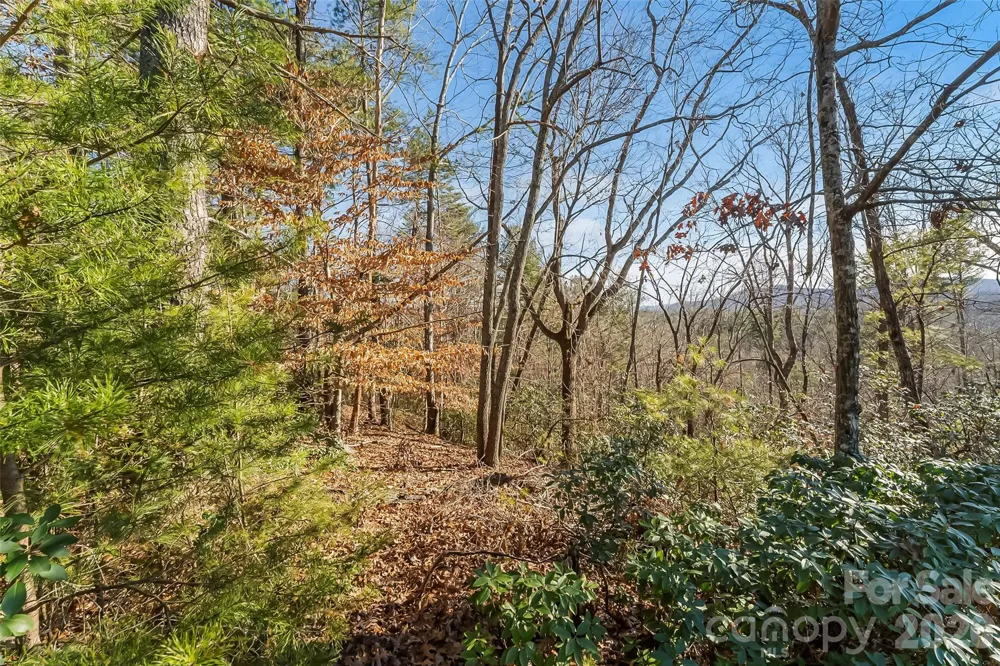 961 High Trail Drive #35-11 Nebo, NC 28761