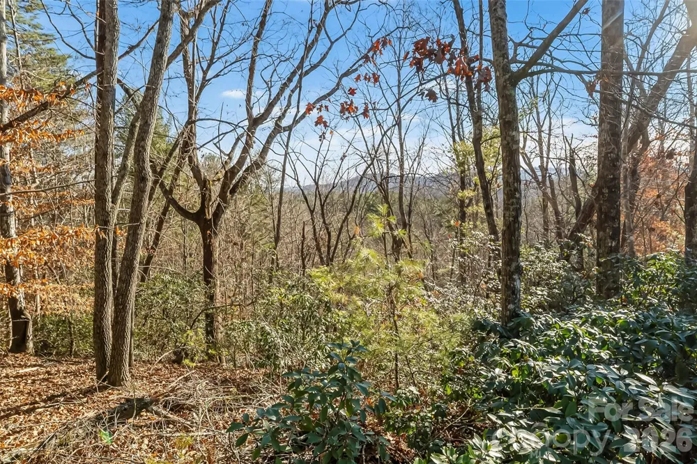 961 High Trail Drive #35-11 Nebo, NC 28761