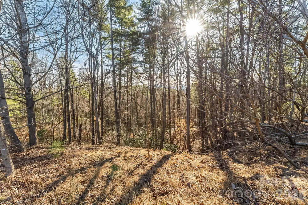 961 High Trail Drive #35-11 Nebo, NC 28761