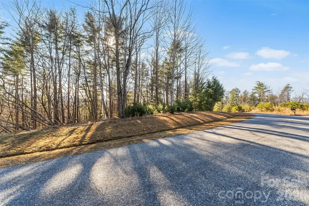 961 High Trail Drive #35-11 Nebo, NC 28761