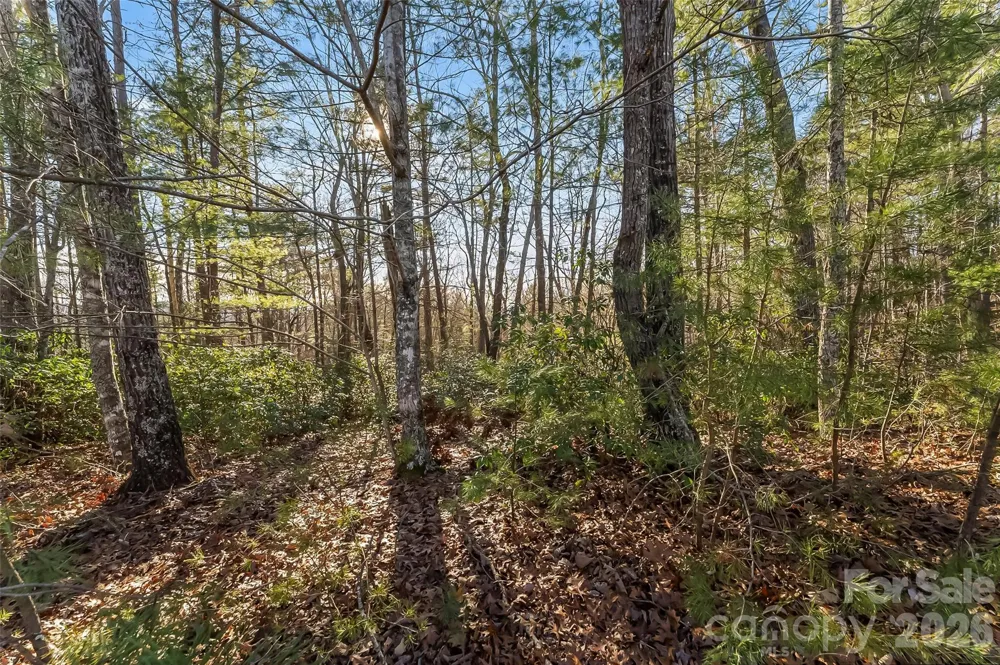 961 High Trail Drive #35-11 Nebo, NC 28761