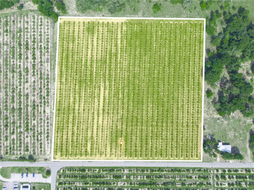 0 HOPSON ROAD Frostproof, FL 33843