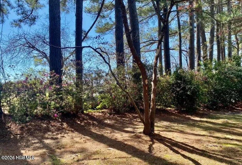 4803 Andrew Jackson Highway SW Chadbourn, NC 28431