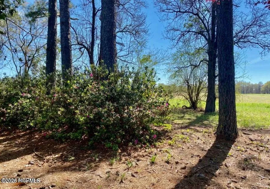 4803 Andrew Jackson Highway SW Chadbourn, NC 28431