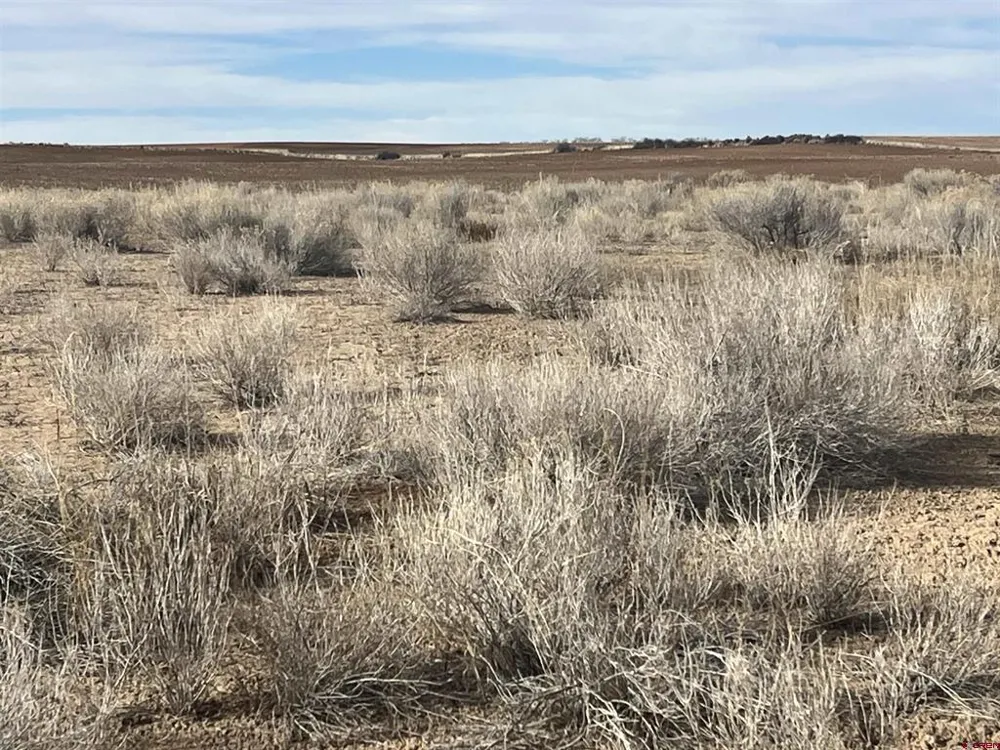 6 BLK A5 DC WEST Dove Creek, CO 81324