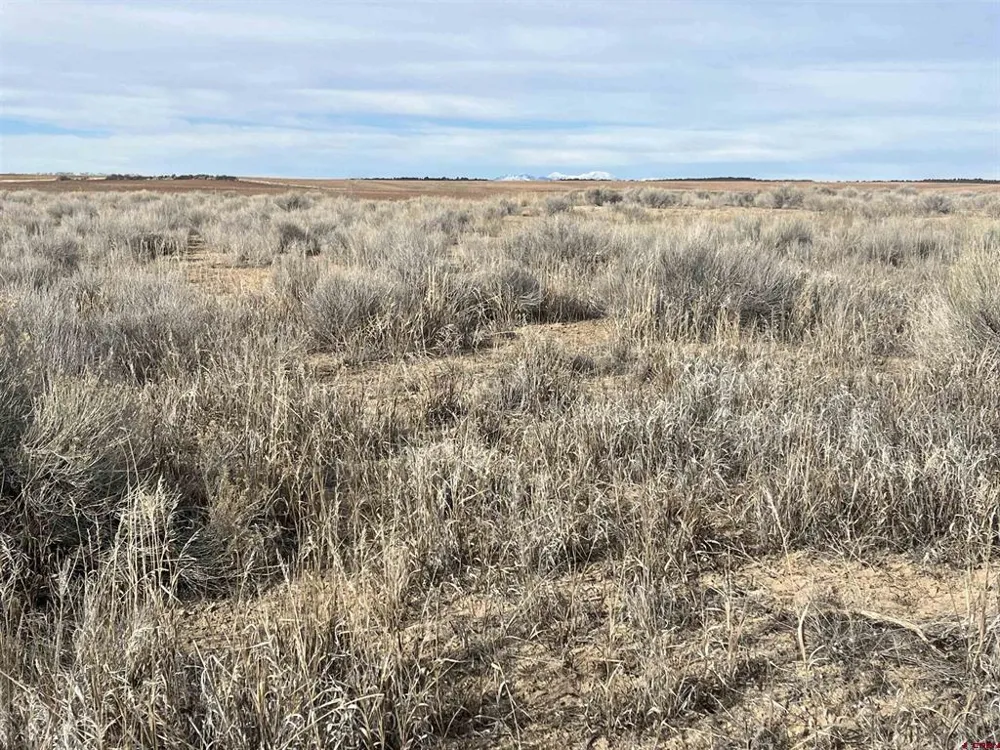 6 BLK A5 DC WEST Dove Creek, CO 81324