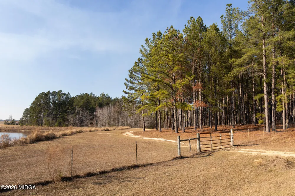1578 Edsel Senn Road Rockledge, GA 30454