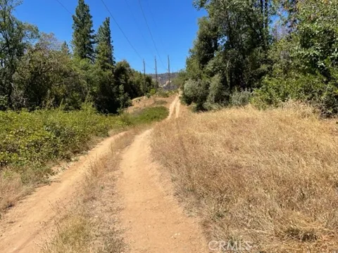 10 Broken Springs