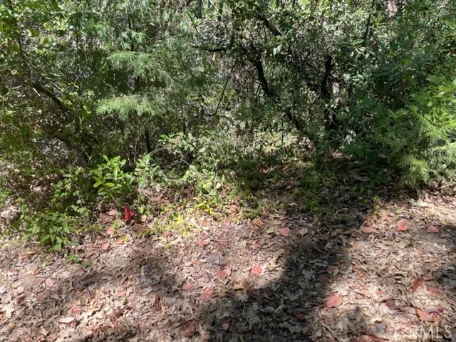 10 Broken Springs Oroville, CA 95966