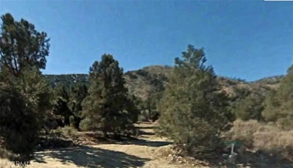 Avenue E Big Bear, CA 92314