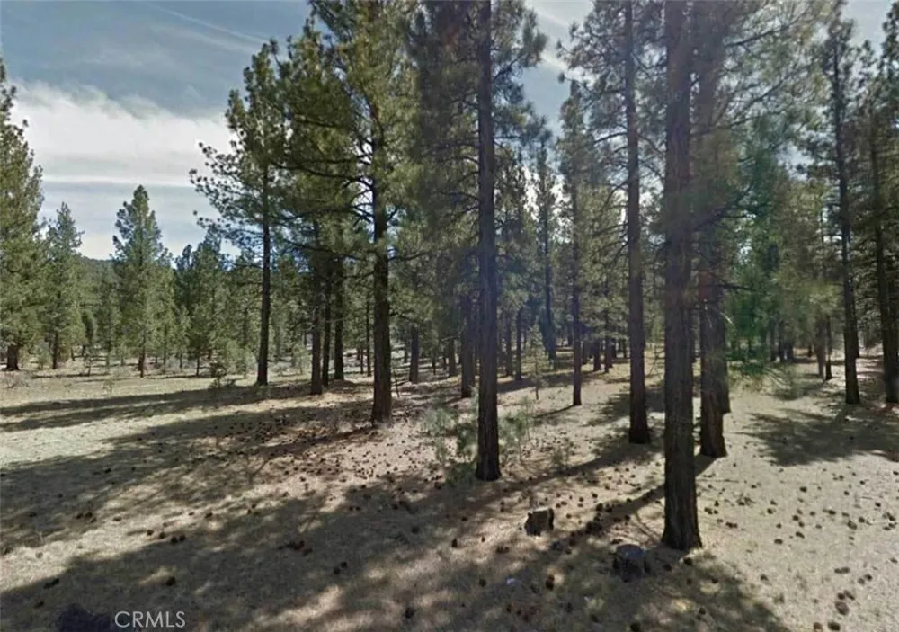 Avenue E Big Bear, CA 92314