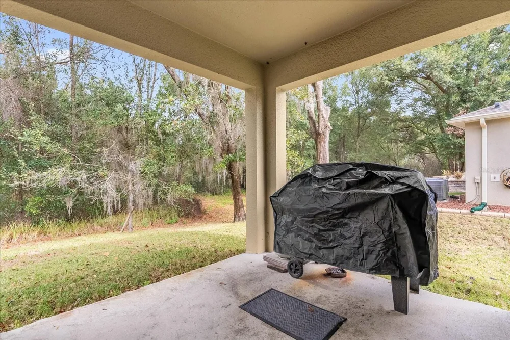 34625 SALERNO CIRCLE Sorrento, FL 32776