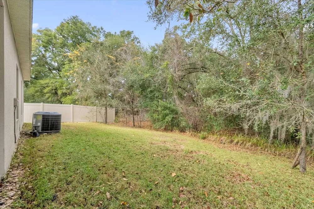 34625 SALERNO CIRCLE Sorrento, FL 32776