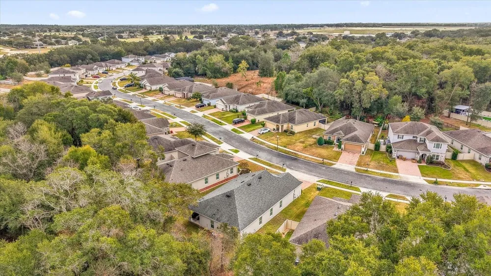 34625 SALERNO CIRCLE Sorrento, FL 32776