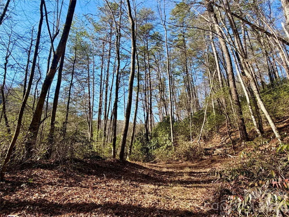 lots 35, 36 & 37 Fox Den Road #35,36,37 Brevard, NC 28712