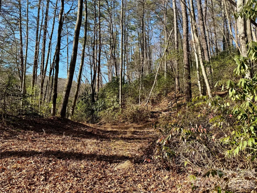 lots 35, 36 & 37 Fox Den Road #35,36,37 Brevard, NC 28712