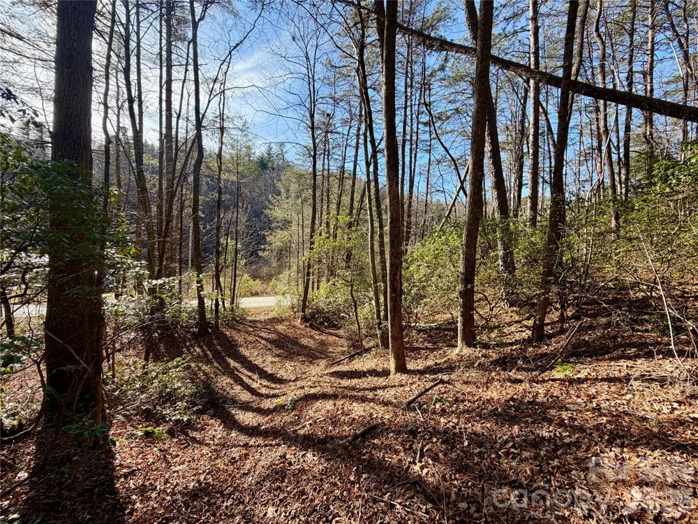 lots 35, 36 & 37 Fox Den Road #35,36,37 Brevard, NC 28712
