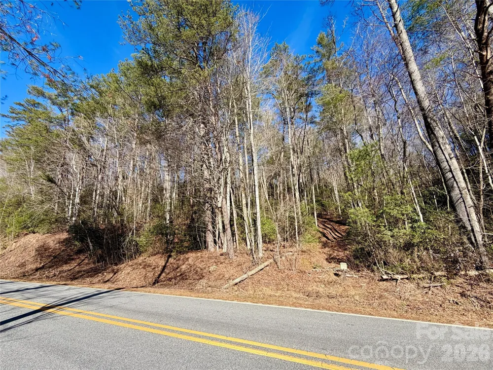 lots 35, 36 & 37 Fox Den Road #35,36,37 Brevard, NC 28712