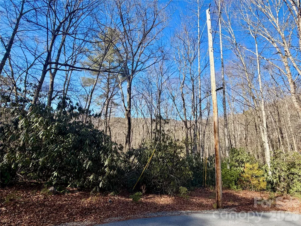 lots 35, 36 & 37 Fox Den Road #35,36,37 Brevard, NC 28712