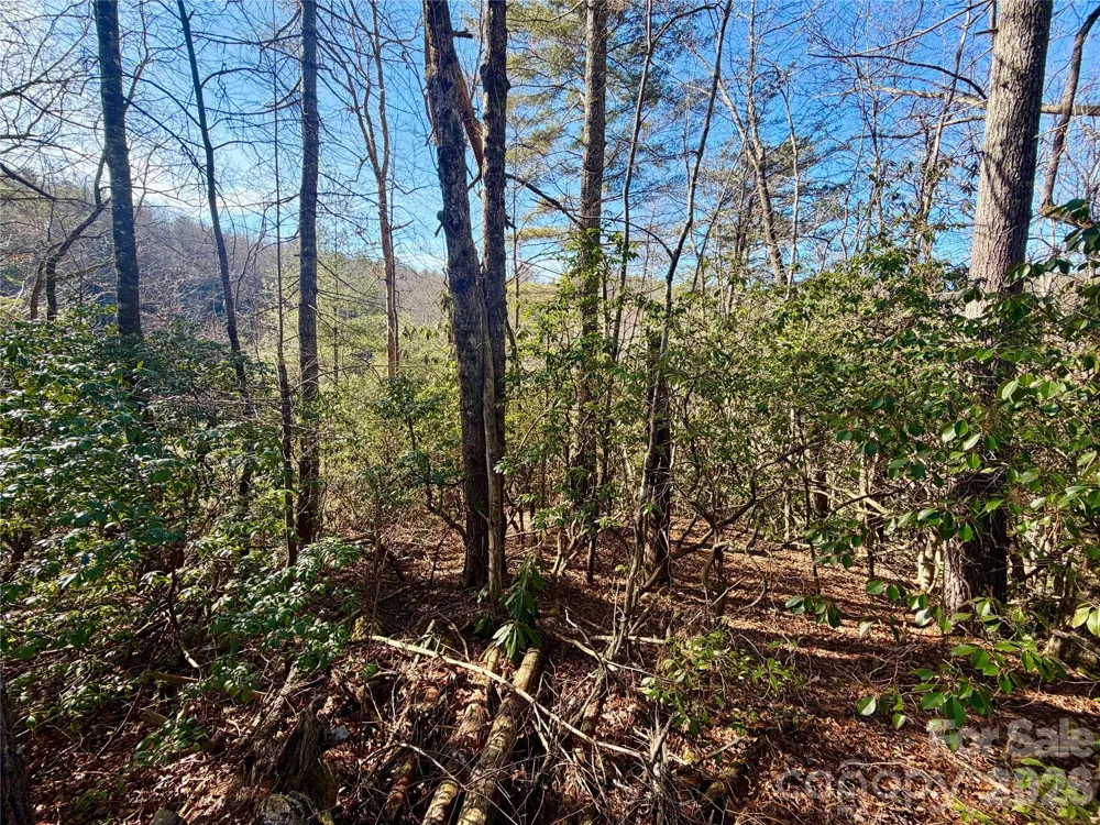 lots 35, 36 & 37 Fox Den Road #35,36,37 Brevard, NC 28712