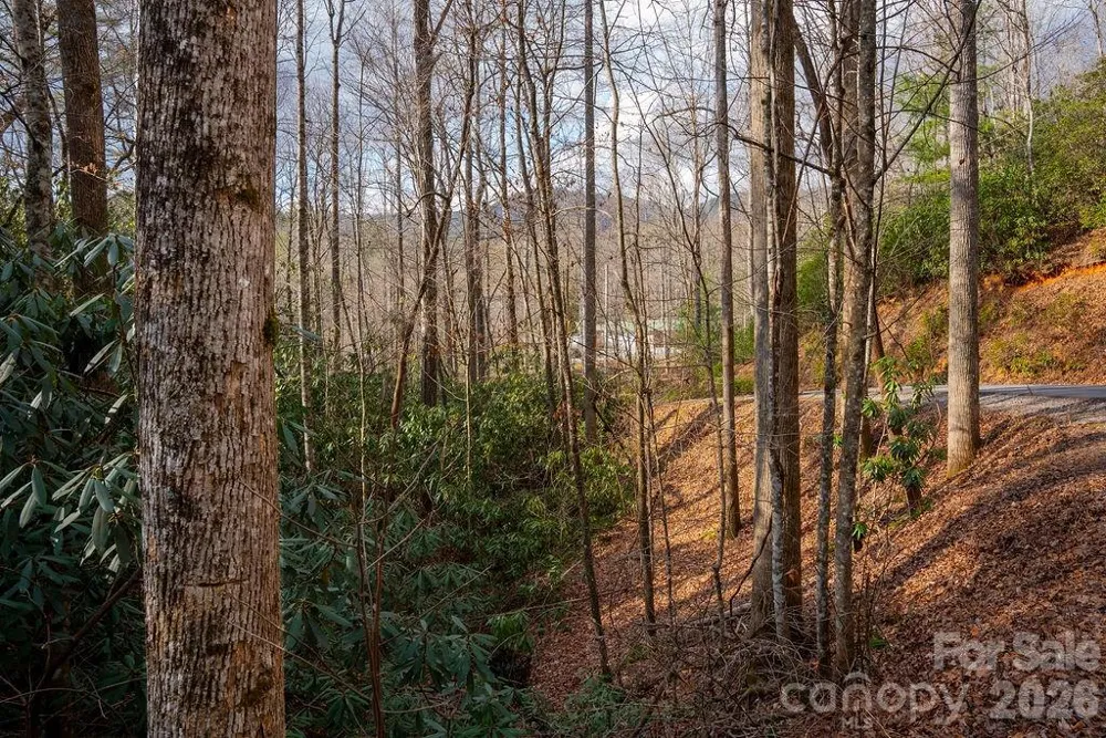 lots 35, 36 & 37 Fox Den Road #35,36,37 Brevard, NC 28712