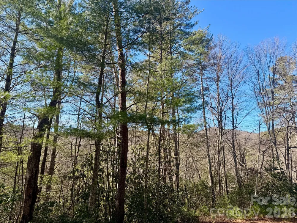 lots 35, 36 & 37 Fox Den Road #35,36,37 Brevard, NC 28712