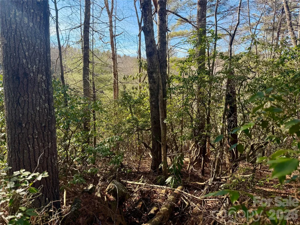 lots 35, 36 & 37 Fox Den Road #35,36,37 Brevard, NC 28712