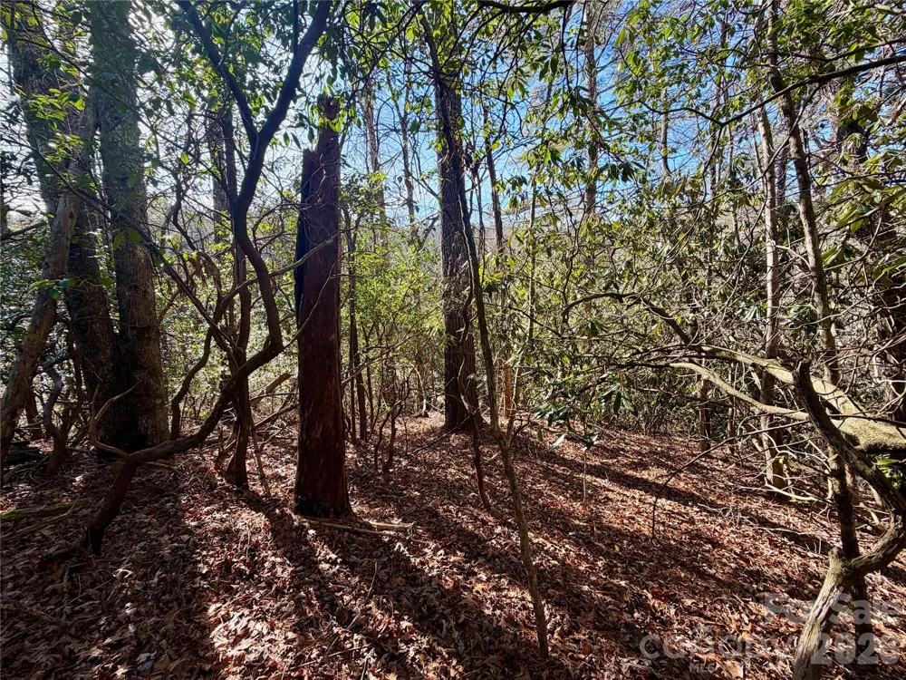 lots 35, 36 & 37 Fox Den Road #35,36,37 Brevard, NC 28712