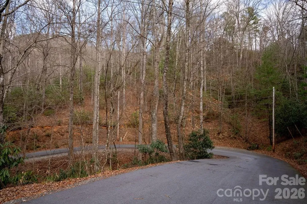 lots 35, 36 & 37 Fox Den Road #35,36,37 Brevard, NC 28712