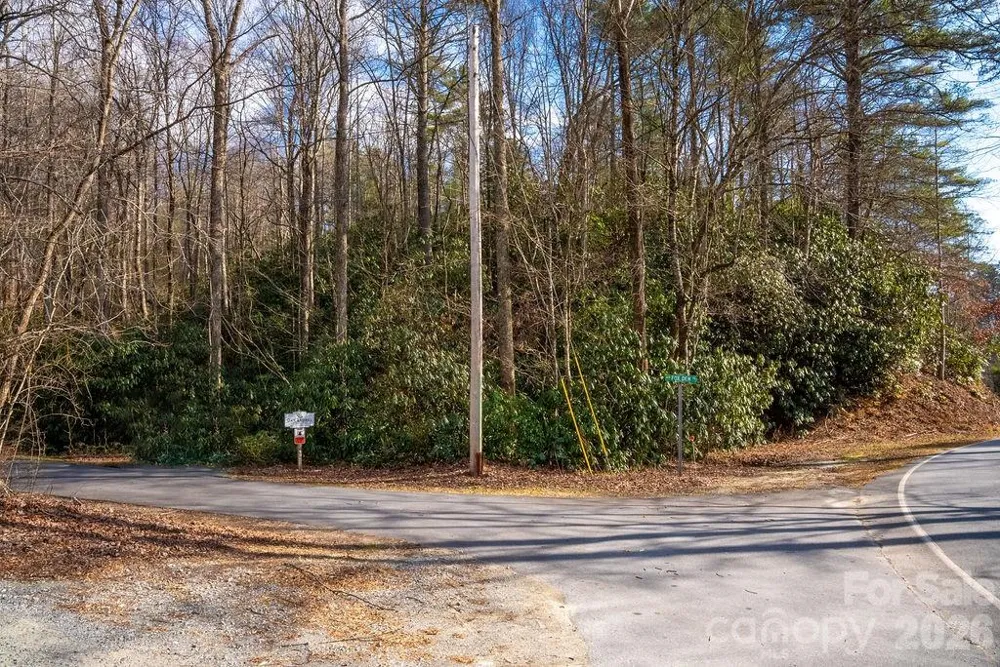 lots 35, 36 & 37 Fox Den Road #35,36,37 Brevard, NC 28712