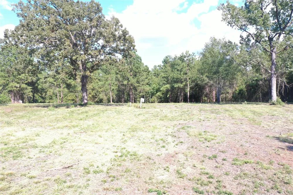185 S Fm 356 W Onalaska, TX 77360