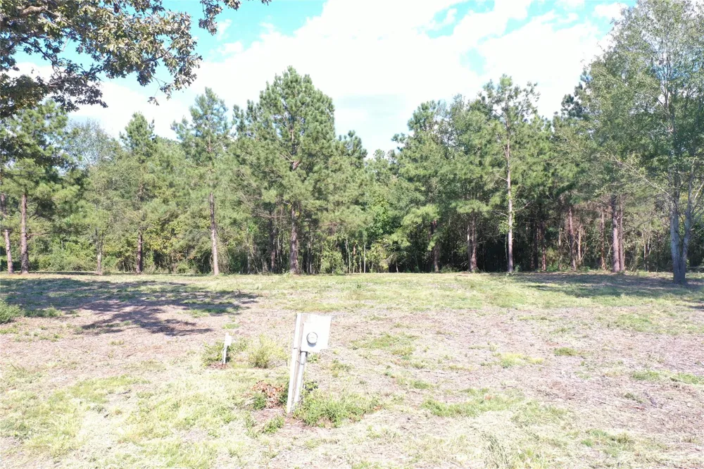 185 S Fm 356 W Onalaska, TX 77360