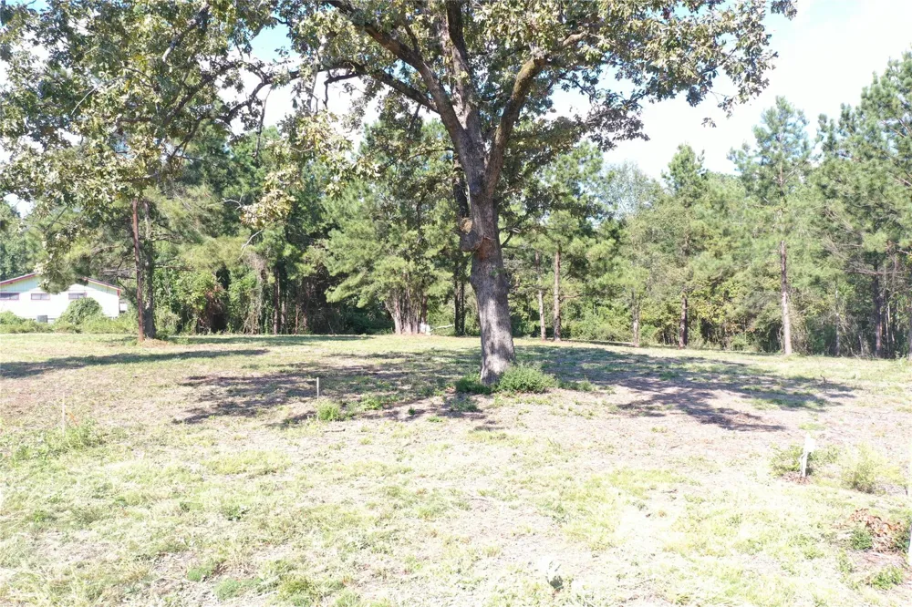 185 S Fm 356 W Onalaska, TX 77360