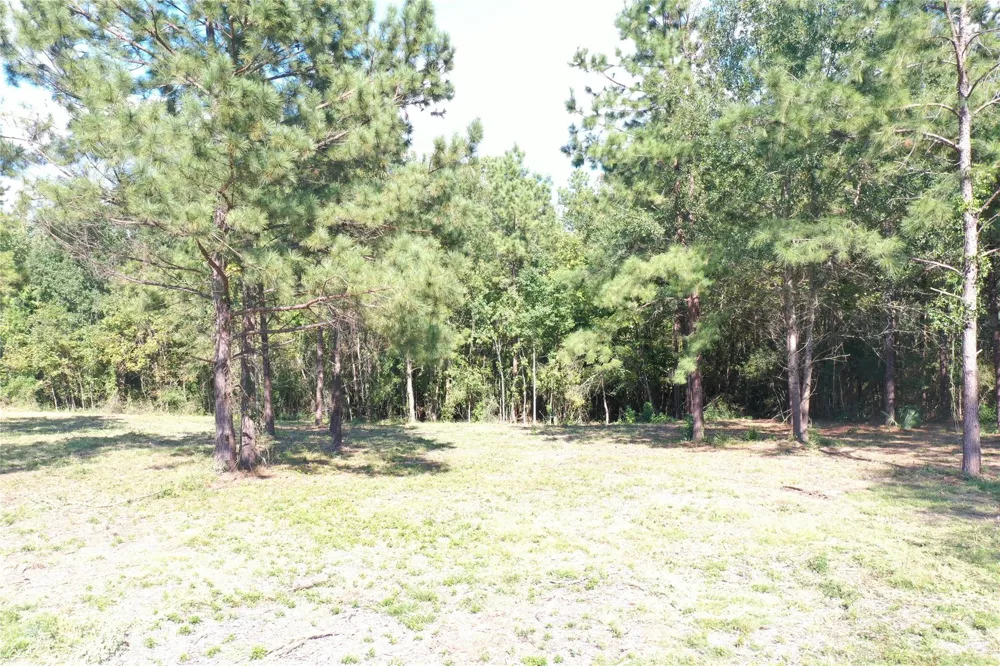 185 S Fm 356 W Onalaska, TX 77360