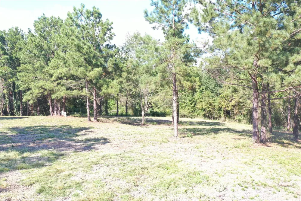 185 S Fm 356 W Onalaska, TX 77360