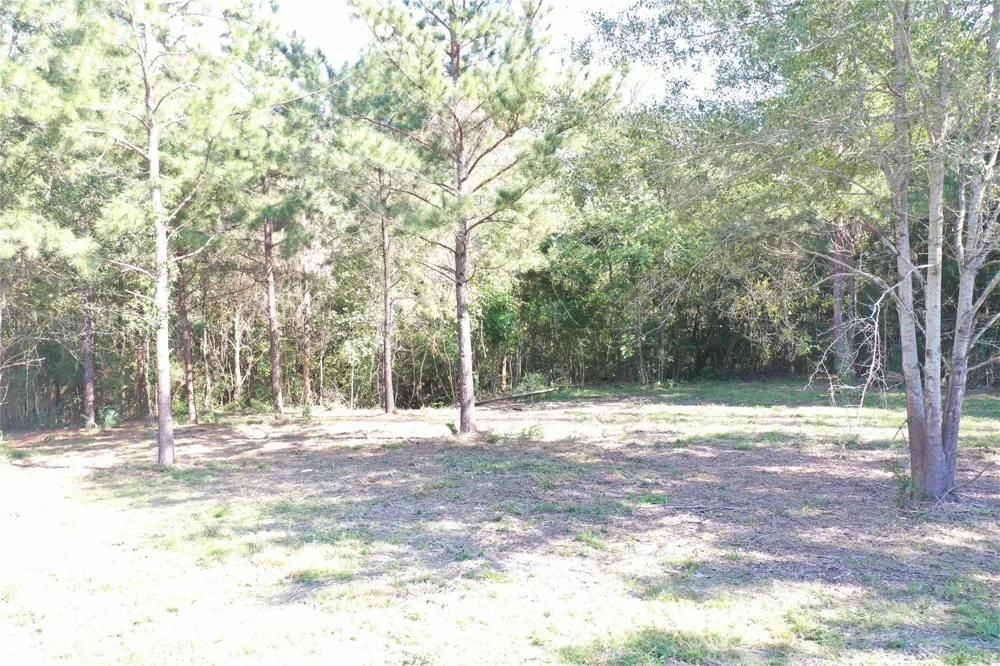 185 S Fm 356 W Onalaska, TX 77360
