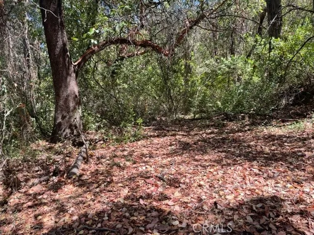 12 Broken Springs Oroville, CA 95966