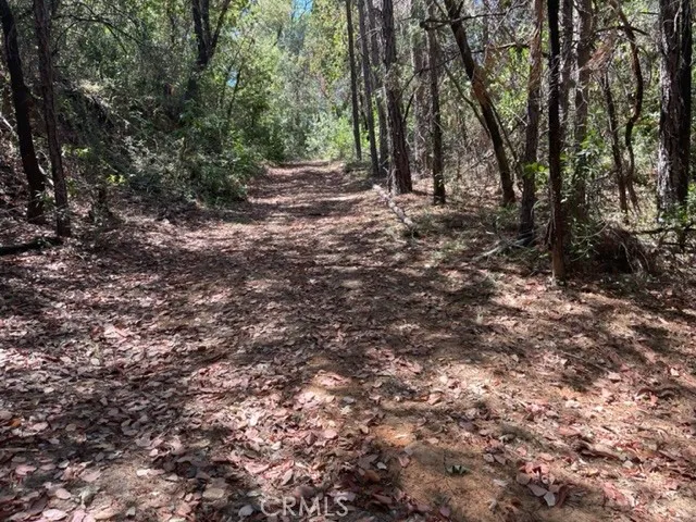12 Broken Springs Oroville, CA 95966