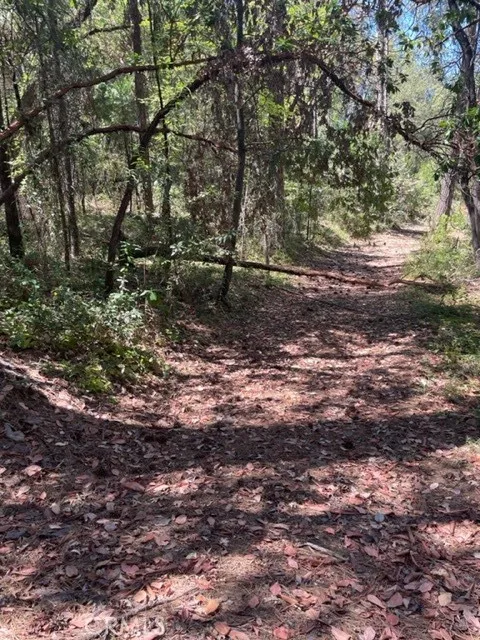 12 Broken Springs Oroville, CA 95966