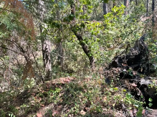 12 Broken Springs Oroville, CA 95966