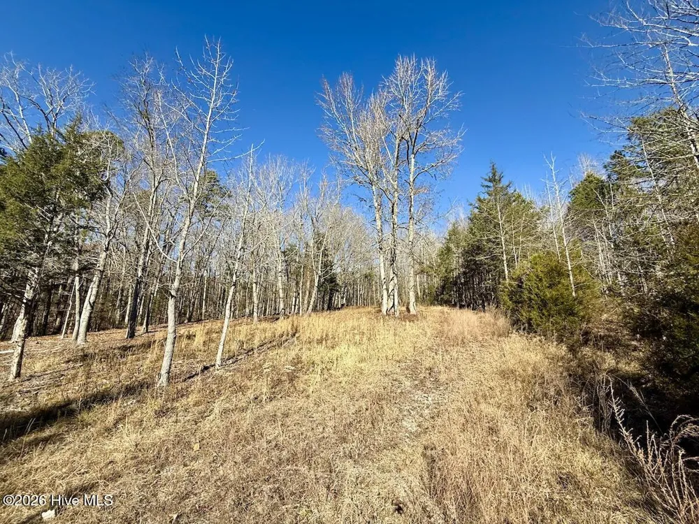 666 Solomon Road Prospect Hill, NC 27314