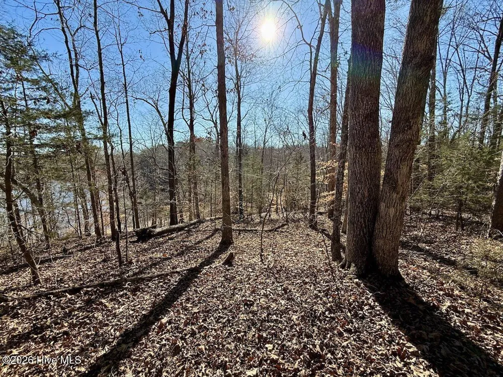 666 Solomon Road Prospect Hill, NC 27314