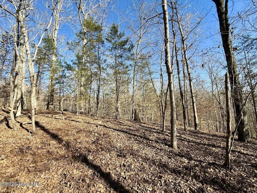 666 Solomon Road Prospect Hill, NC 27314