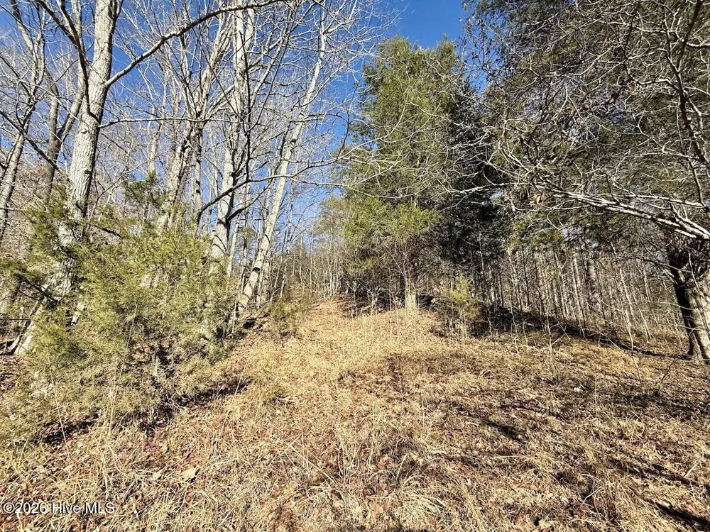 666 Solomon Road Prospect Hill, NC 27314