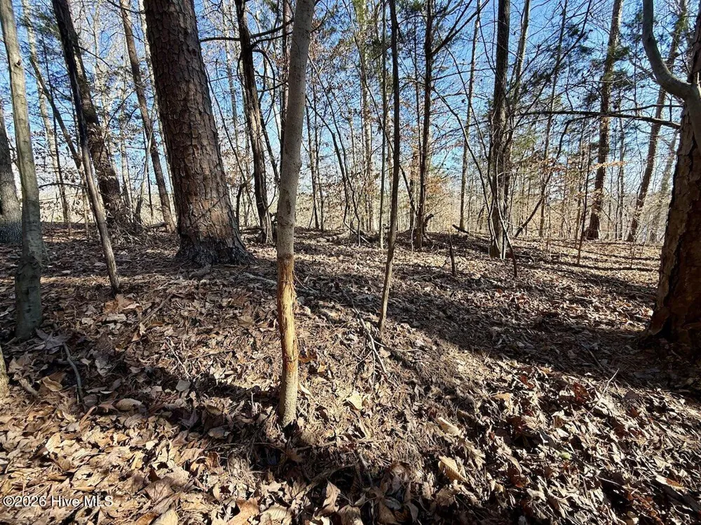 666 Solomon Road Prospect Hill, NC 27314