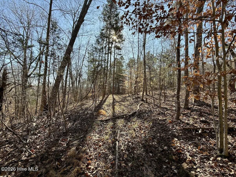 666 Solomon Road Prospect Hill, NC 27314